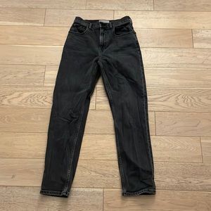 Everlane The Japanese Denim Cheeky Jean